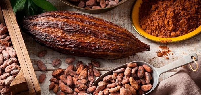 Chocolates Nueva Galicia: El postre gourmet por excelencia en Zacatecas