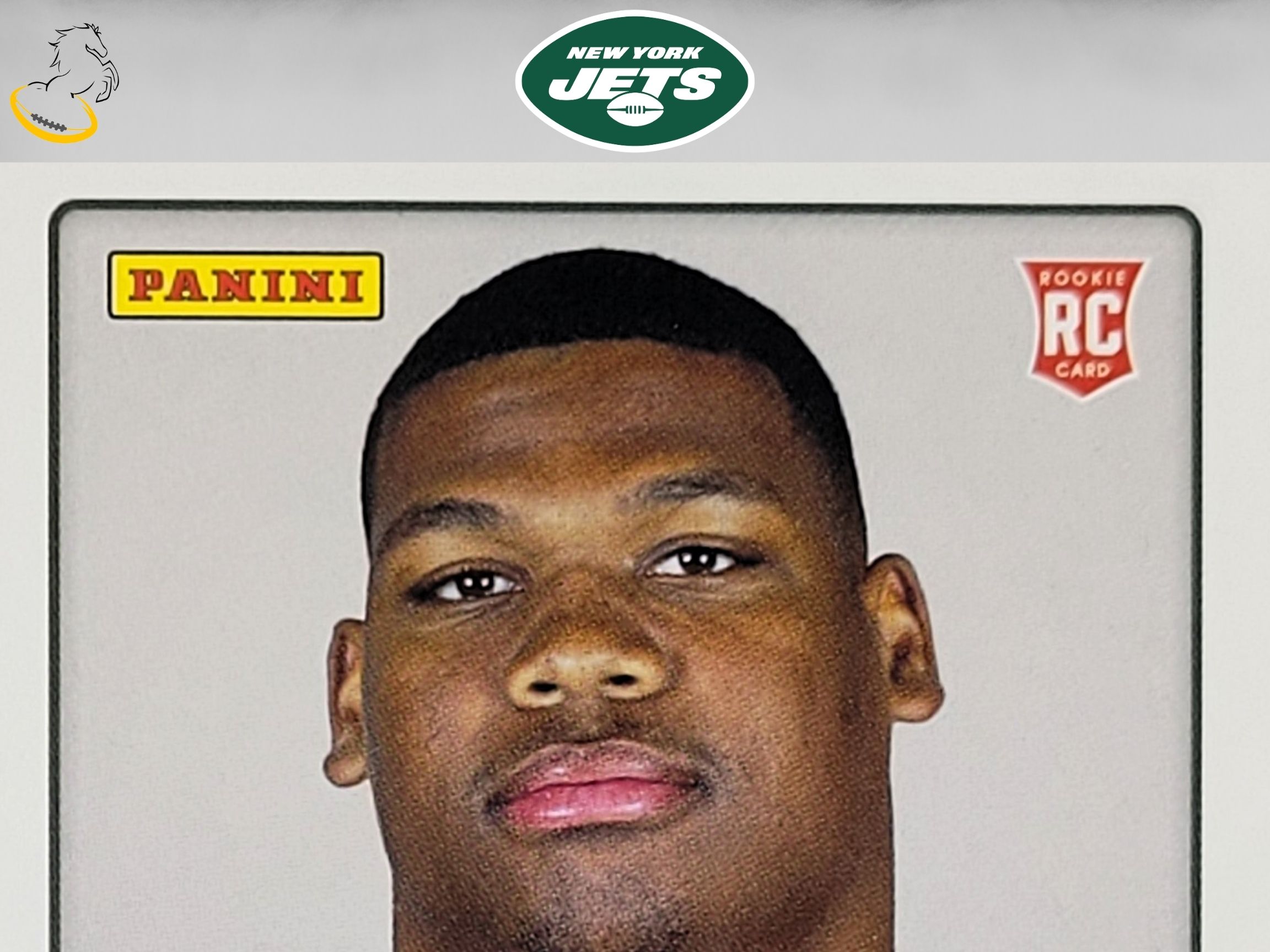 2019 Panini NFL Sticker Collection Quinnen Williams Rookie Card