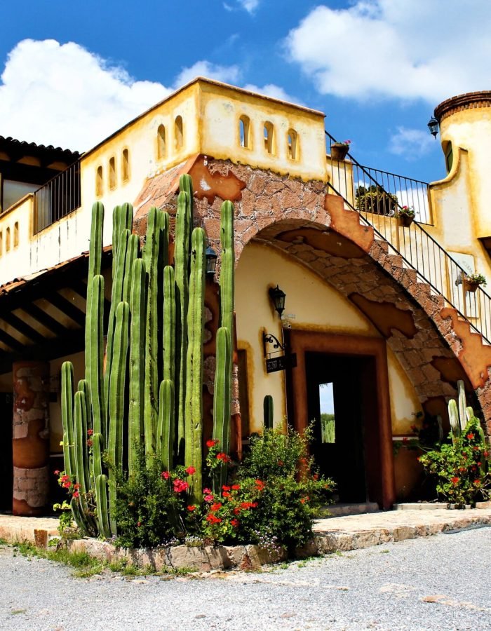 001 Viñedos Azteca