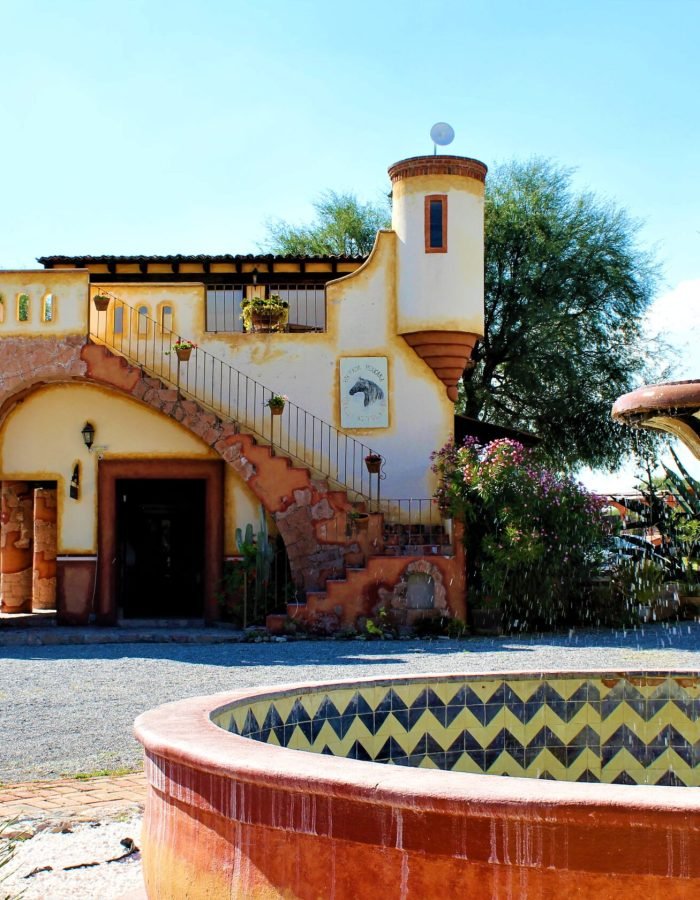 002 Viñedos Azteca