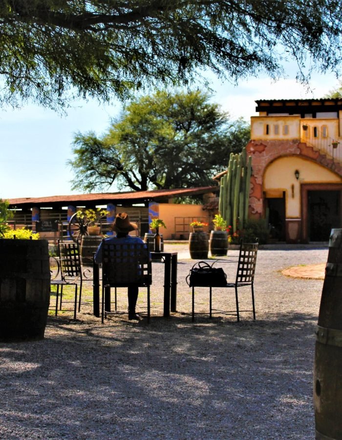 005 Viñedos Azteca