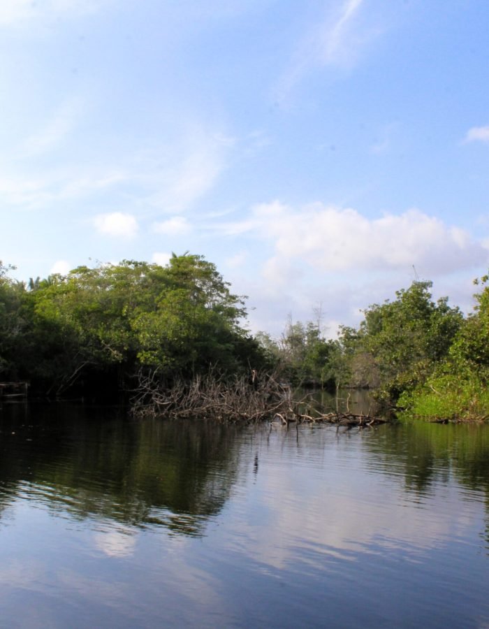 La Ventanilla 006