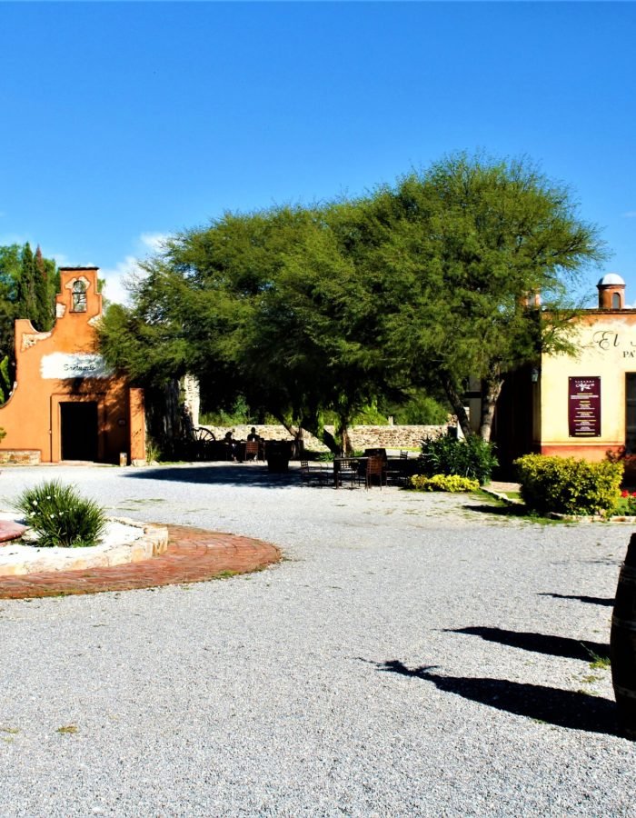 006 Viñedos Azteca