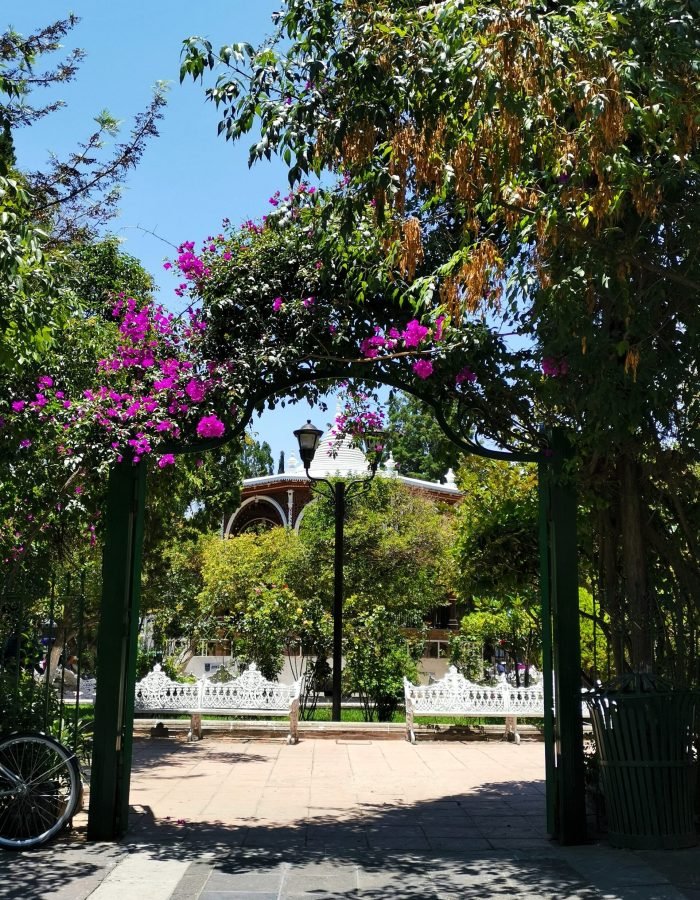 007 Jardín Principal Rafae Páez
