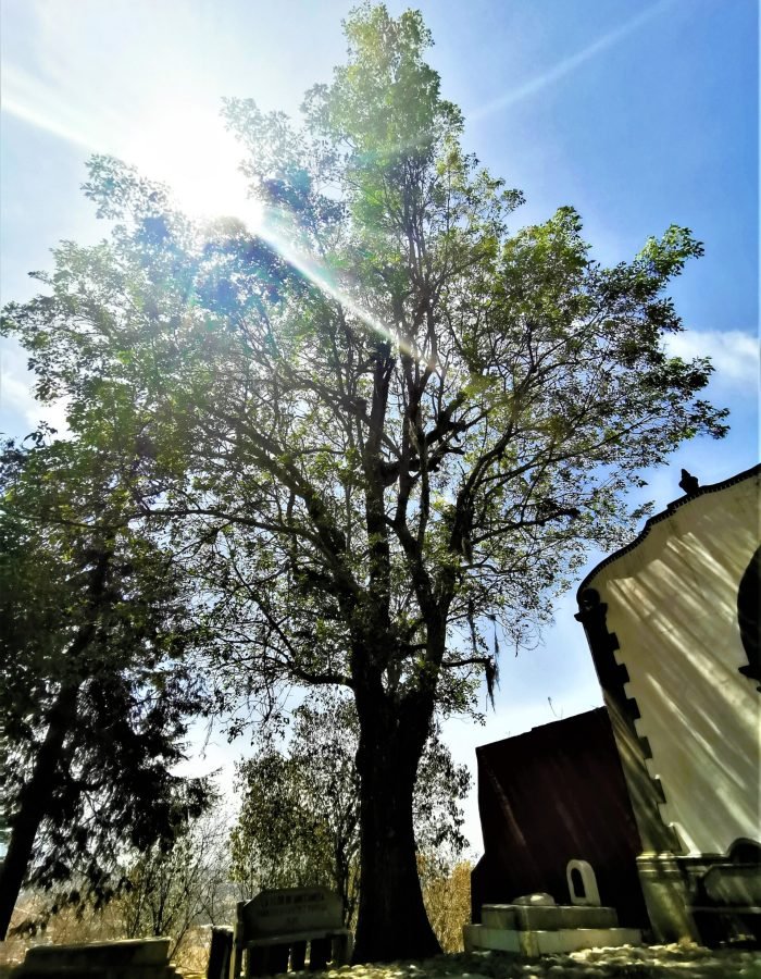 009 Sacromonte