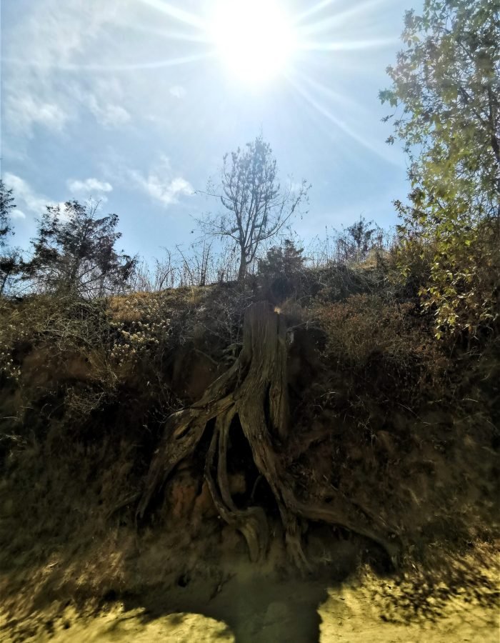 011 Sacromonte