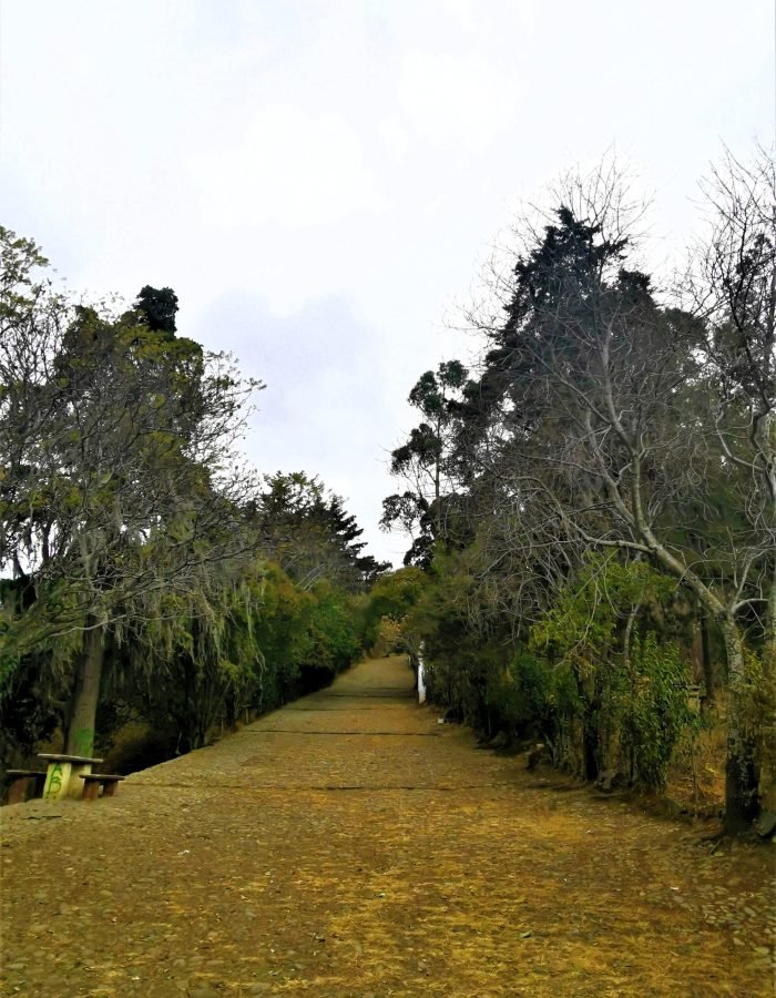 013 Sacromonte