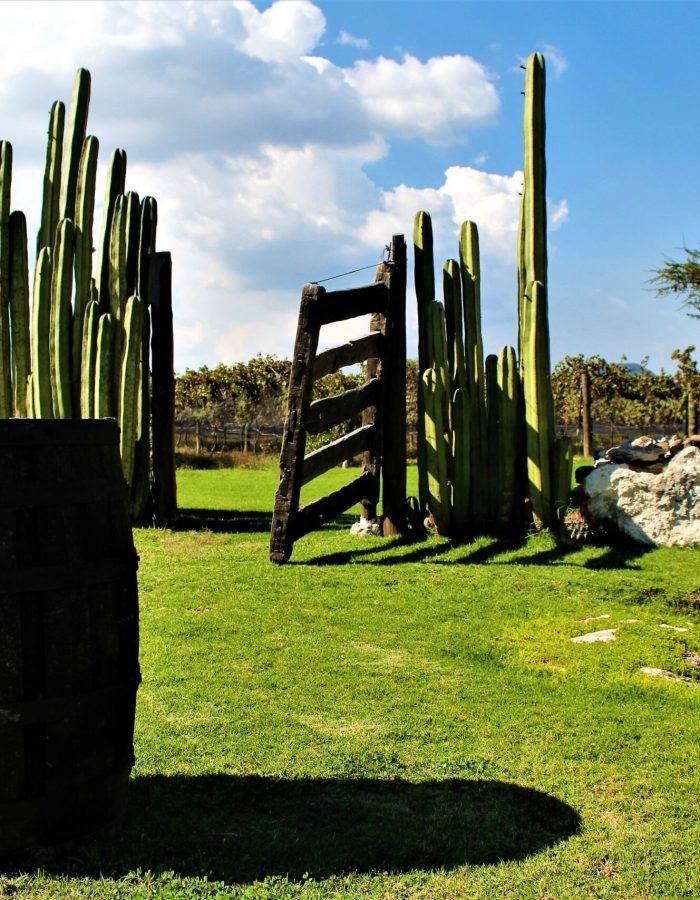 015 Viñedos Azteca