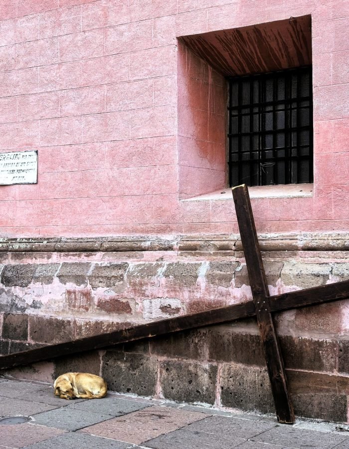 Parroquia de Nuestra Señora del Carmen 19