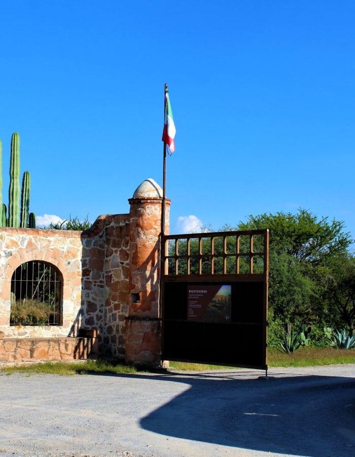 022 Viñedos Azteca