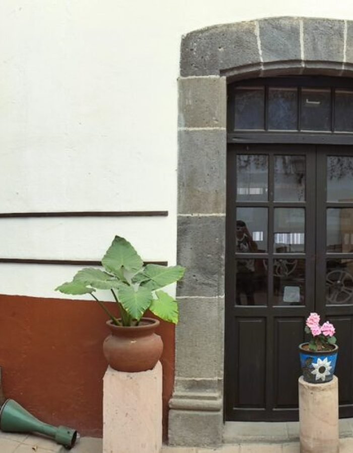 Museo Hermanos López Rayón 03