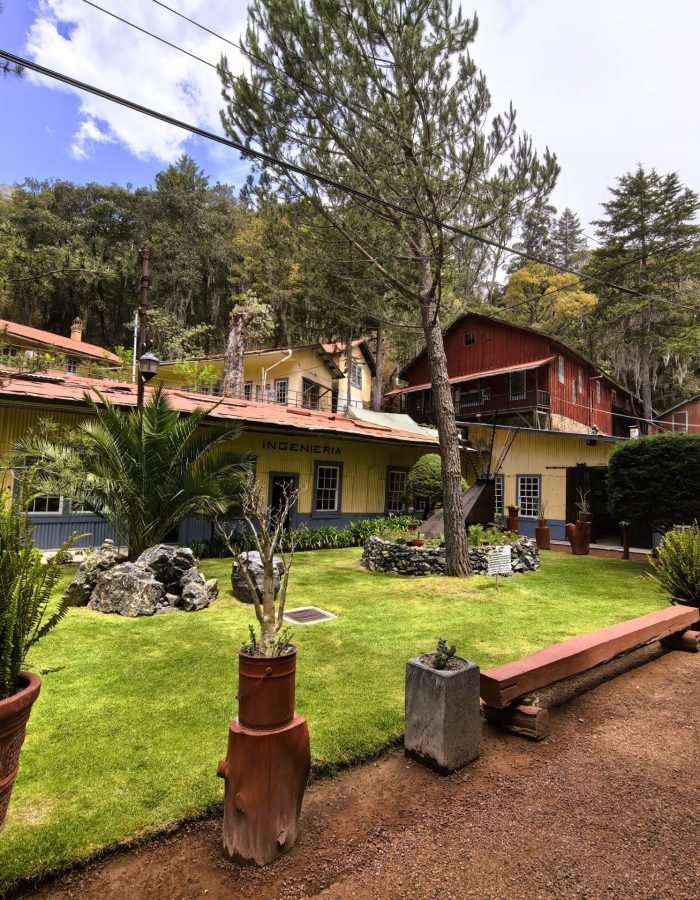 Mina Dos Estrellas 01