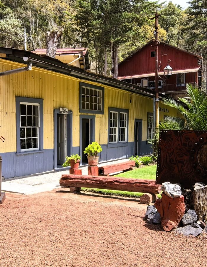 Mina Dos Estrellas 05