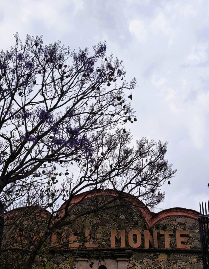 Iglesia del Señor del Monte 05