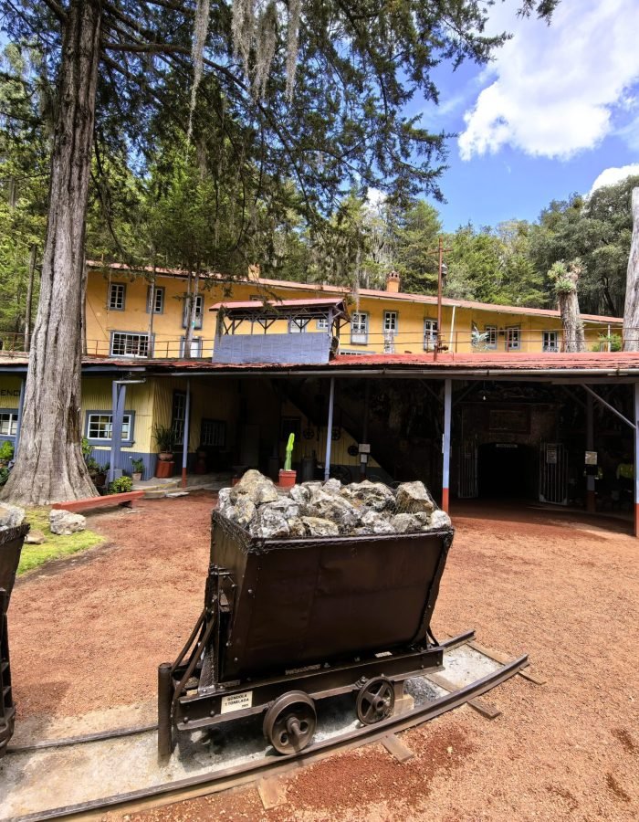 Mina Dos Estrellas 06