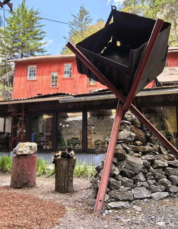 Mina Dos Estrellas 08