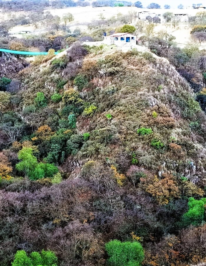Arcos del Sitio 10