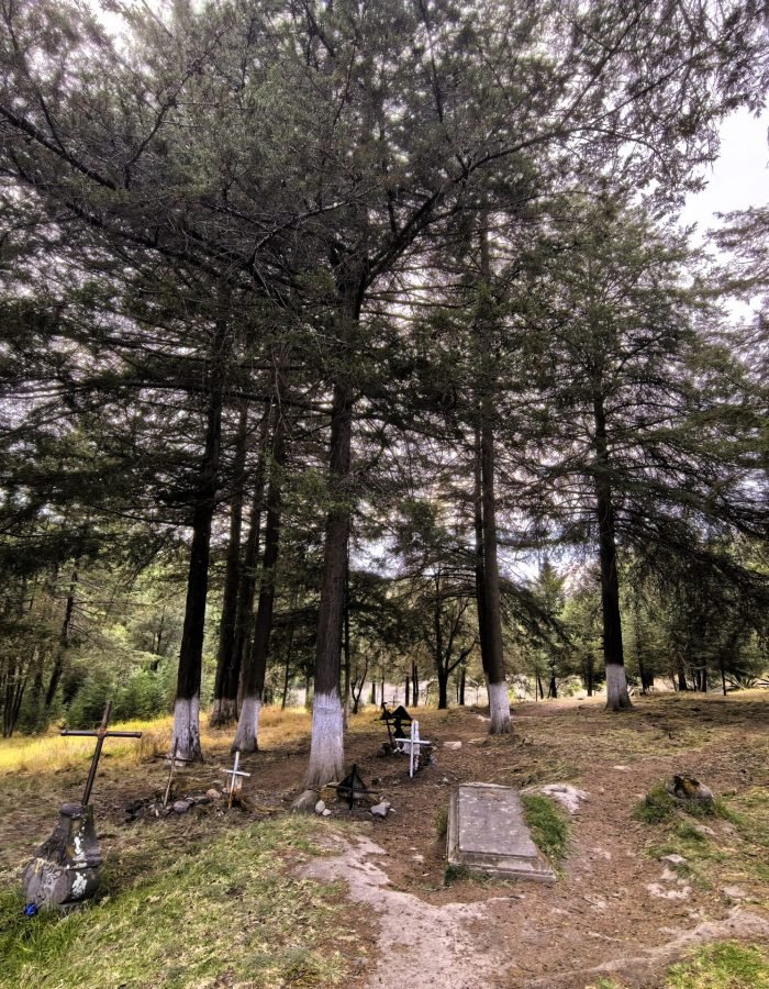 Torre del Carmen 011