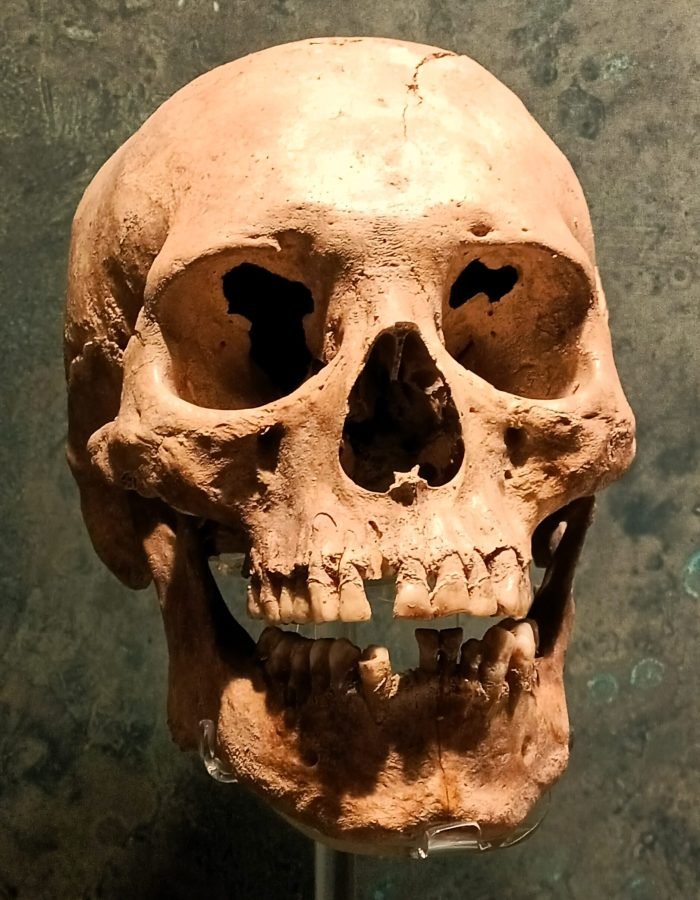 Museo Nacional de Antropología 045