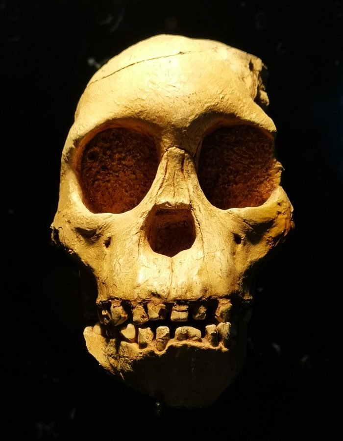 Museo Nacional de Antropología 003