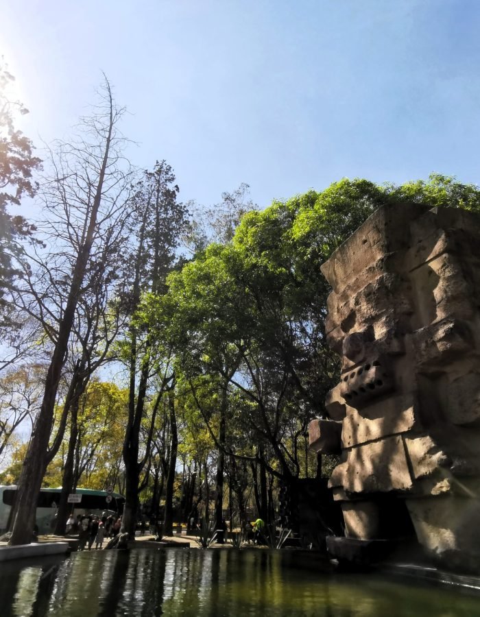 Museo Nacional de Antropología 001