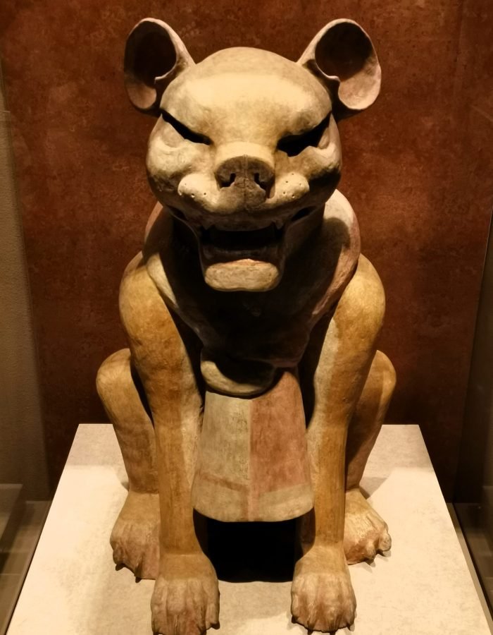 Museo Nacional de Antropología 010